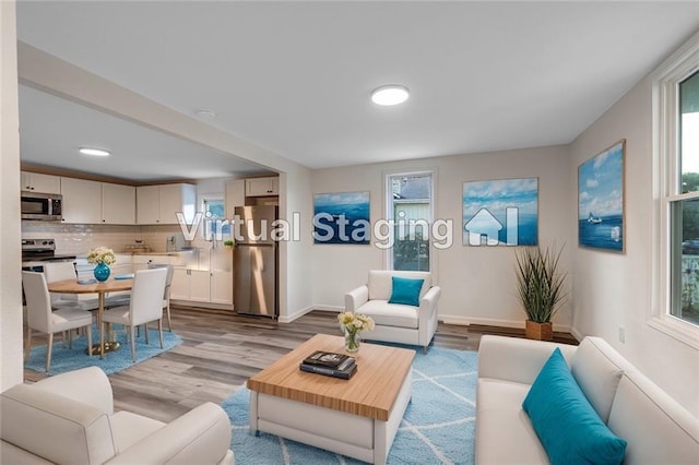 living room with baseboards, a wealth of natural light, and wood finished floors