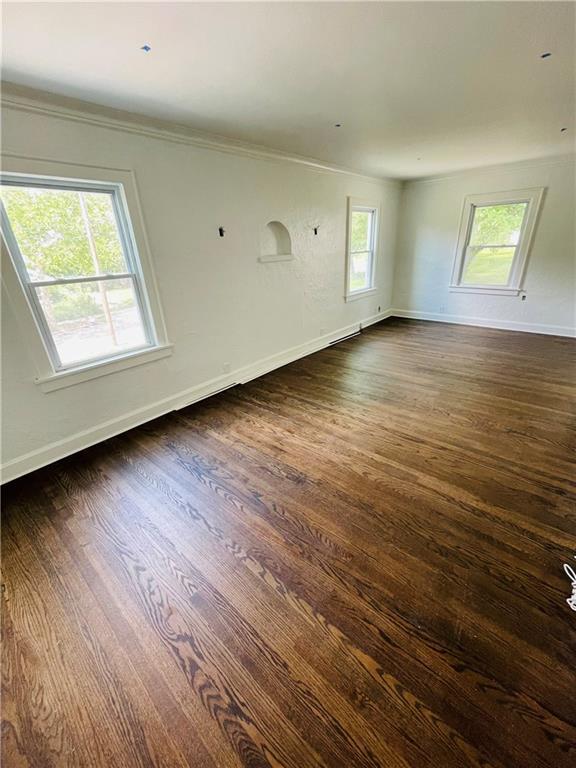 spare room featuring ornamental molding and dark hardwood / wood-style floors