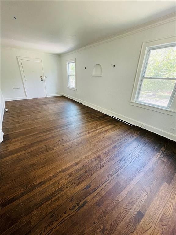 empty room with crown molding and dark hardwood / wood-style flooring