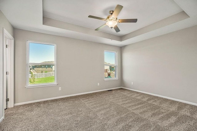 empty room with carpet, a raised ceiling, and a healthy amount of sunlight