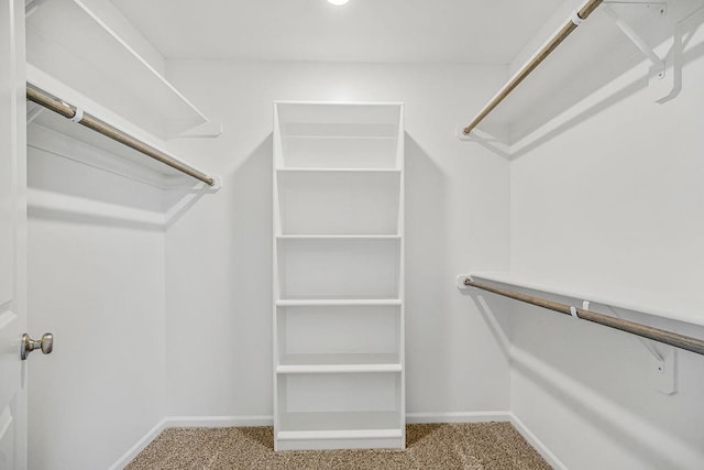 walk in closet with carpet