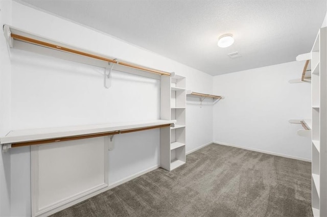 walk in closet with light carpet