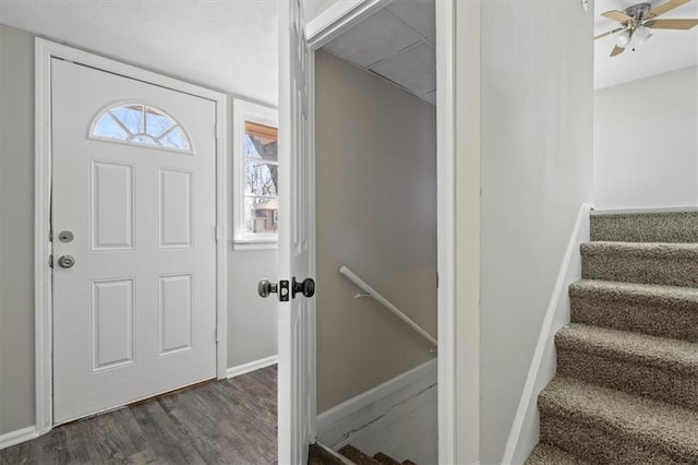 entrance foyer with dark hardwood / wood-style flooring