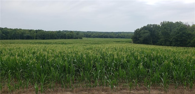 Monroe Rd 117 Rd, Moberly, MO 65263