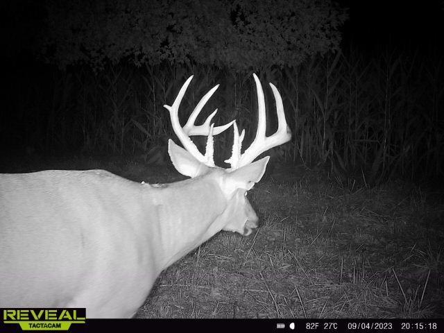 Monroe Rd 117 Rd, Moberly, MO 65263