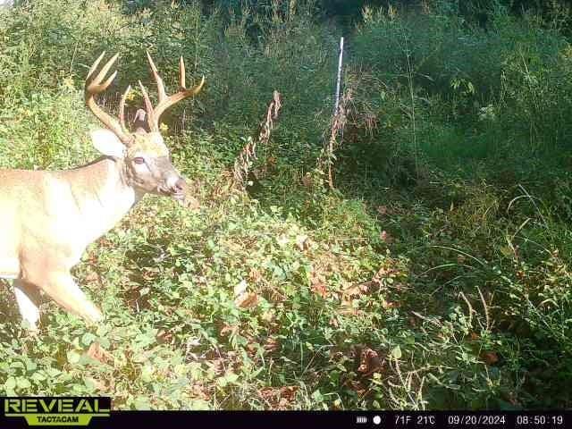 Monroe Rd 117 Rd, Moberly, MO 65263