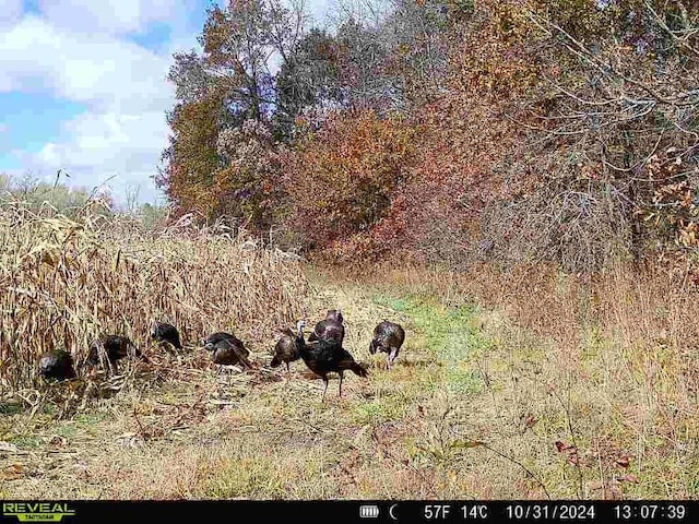 Monroe Rd 117 Rd, Moberly, MO 65263
