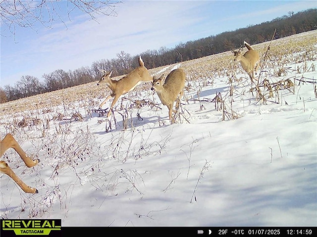 Monroe Rd 117 Rd, Moberly, MO 65263
