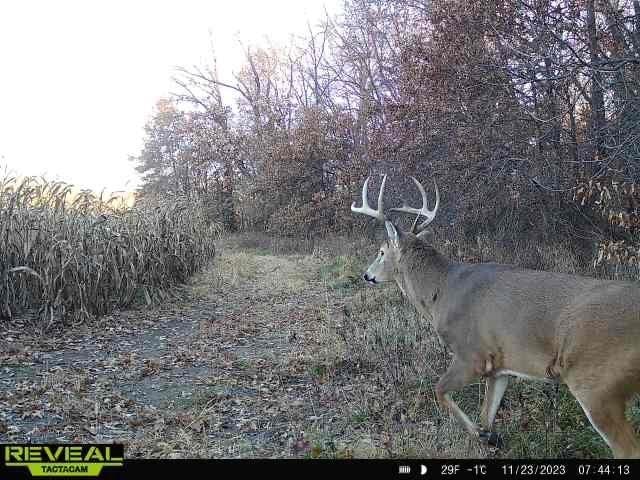Monroe Rd 117 Rd, Moberly, MO 65263
