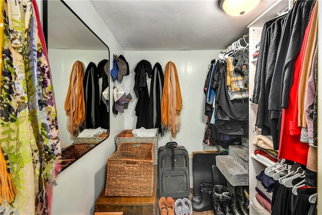 view of spacious closet