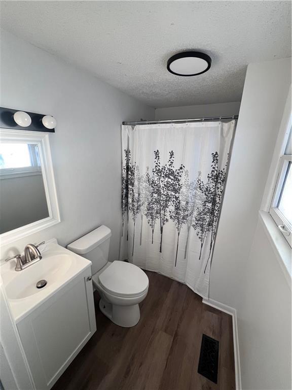 bathroom with wood-type flooring, plenty of natural light, vanity, and a textured ceiling