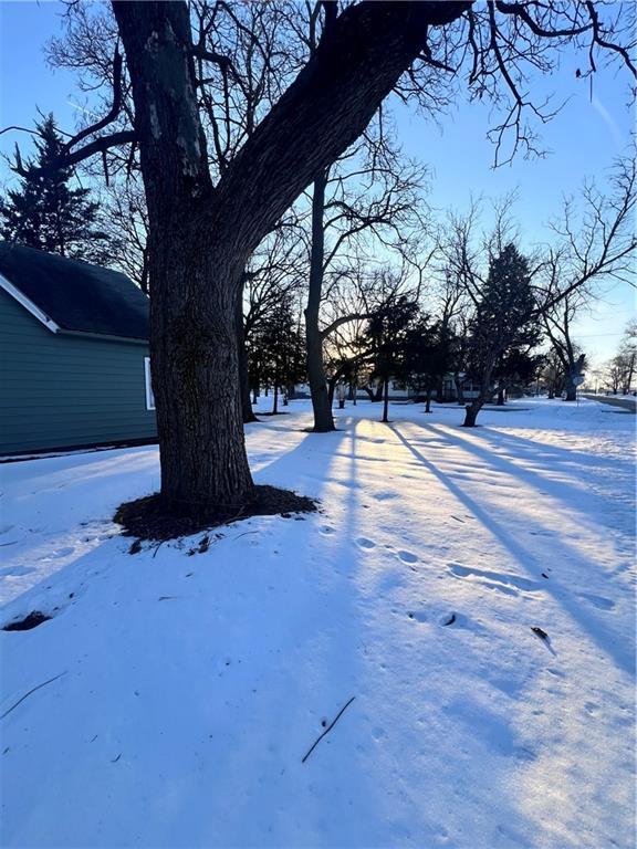 view of snowy yard