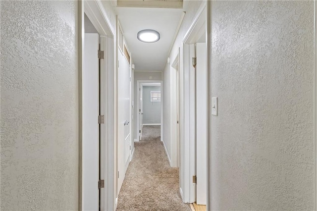 6133 Swope Pkwy, Kansas City, MO 64132 - corridor featuring light carpet