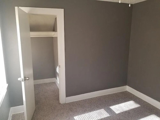 interior space featuring carpet flooring and a closet