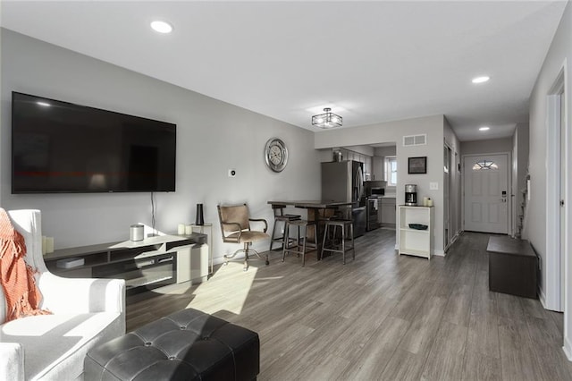 living room featuring wood-type flooring