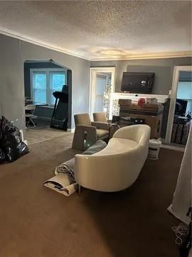 living room featuring crown molding and a textured ceiling