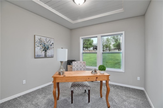 view of carpeted office