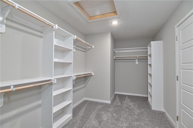 spacious closet with dark colored carpet