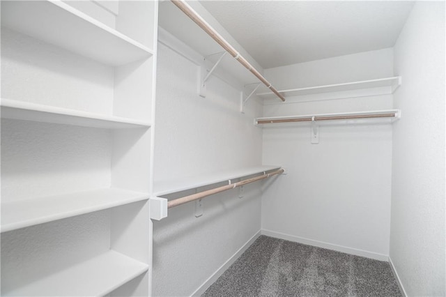 walk in closet featuring carpet