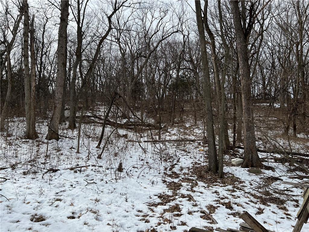 view of snowy landscape