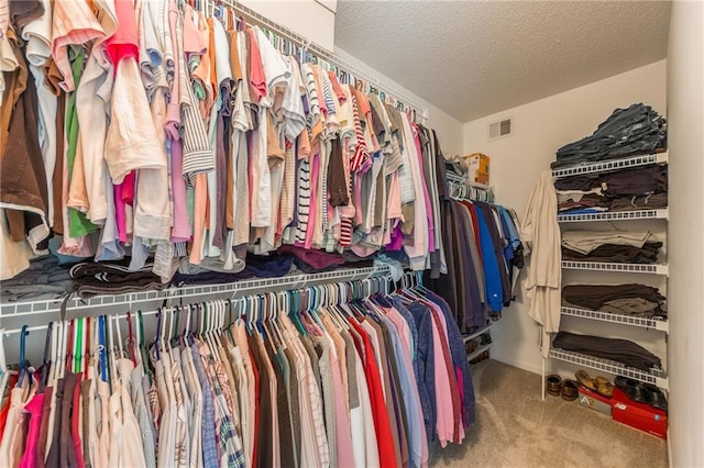 walk in closet featuring carpet floors