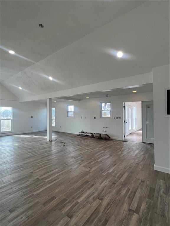 basement featuring dark hardwood / wood-style floors