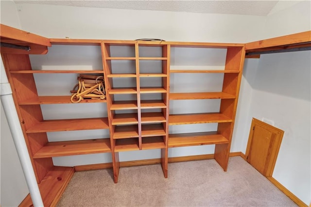 walk in closet featuring carpet floors