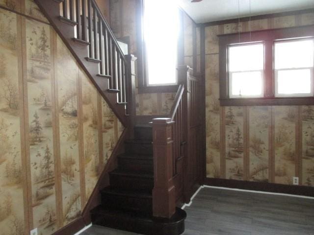 stairs with hardwood / wood-style floors