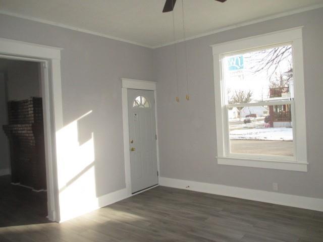 foyer entrance with crown molding, dark hardwood / wood-style floors, and ceiling fan