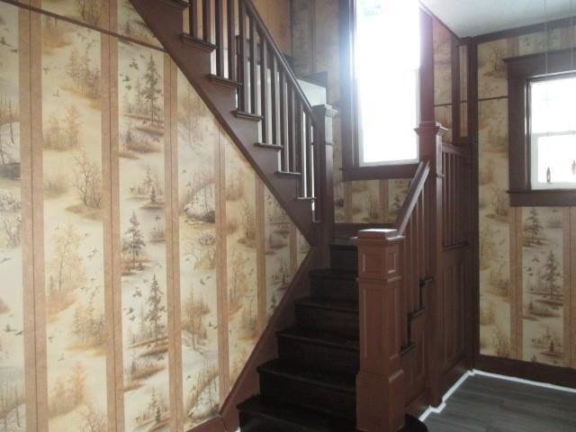 stairs with wood-type flooring and a wealth of natural light