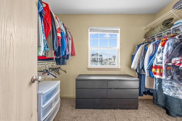 walk in closet featuring carpet