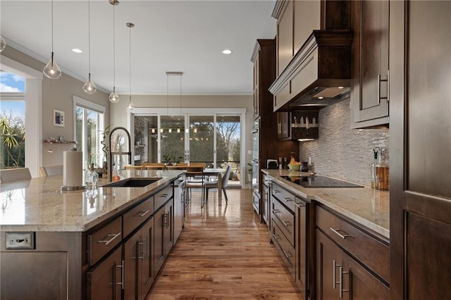 kitchen featuring stainless steel appliances, a sink, dark brown cabinets, backsplash, and custom range hood