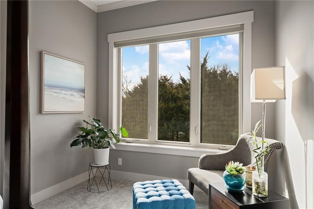 living area with baseboards and carpet flooring