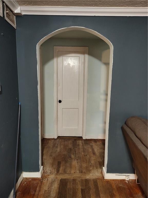 hallway featuring dark wood-type flooring