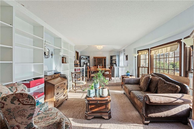 living room featuring carpet floors and a textured ceiling