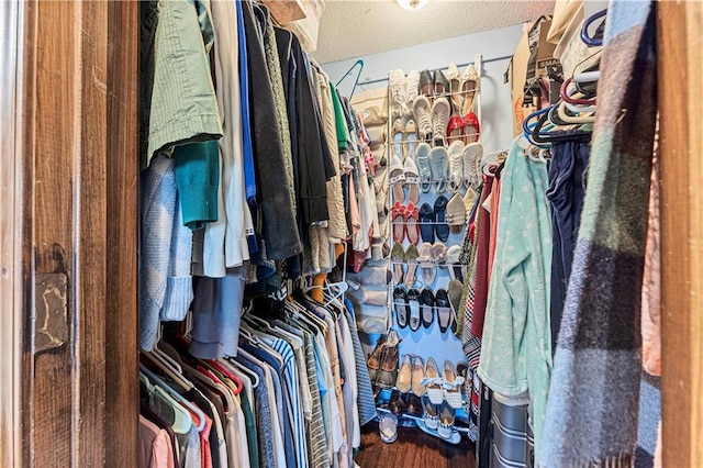 walk in closet featuring wood finished floors