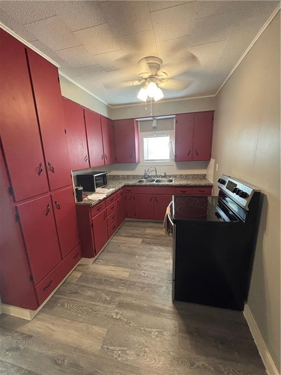 kitchen with sink, stainless steel electric range, light hardwood / wood-style flooring, ornamental molding, and ceiling fan