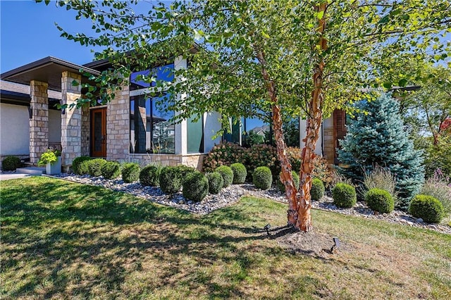 obstructed view of property with a front lawn