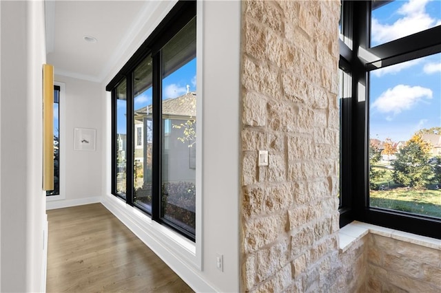 hall featuring ornamental molding and hardwood / wood-style floors