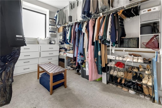 spacious closet with light colored carpet