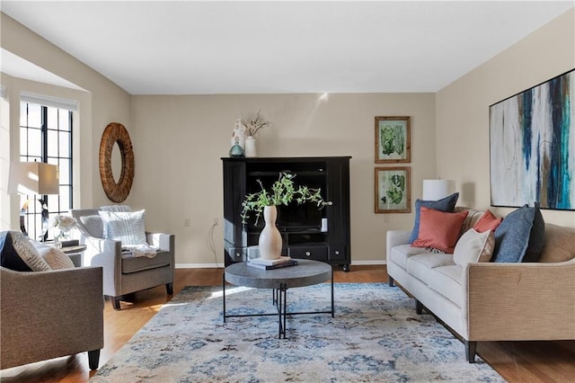 living room featuring hardwood / wood-style flooring