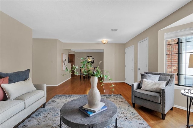 living room featuring wood-type flooring