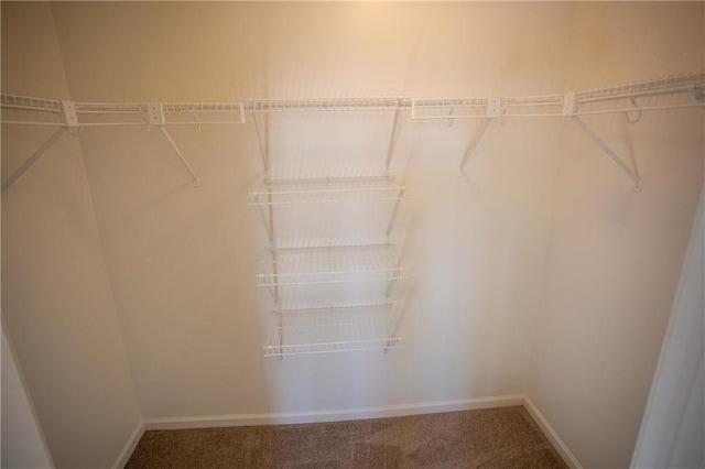 walk in closet with carpet flooring