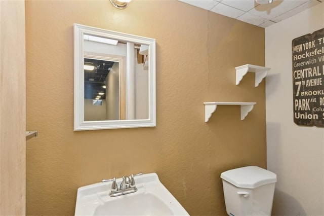 bathroom featuring a paneled ceiling, toilet, and sink