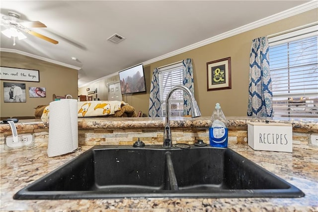 room details with ornamental molding, sink, and ceiling fan