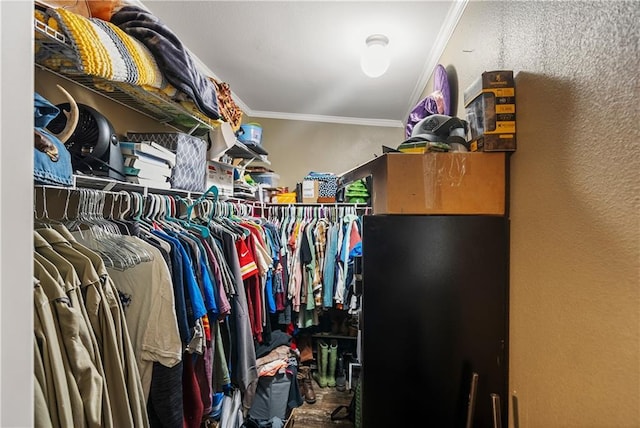 view of spacious closet