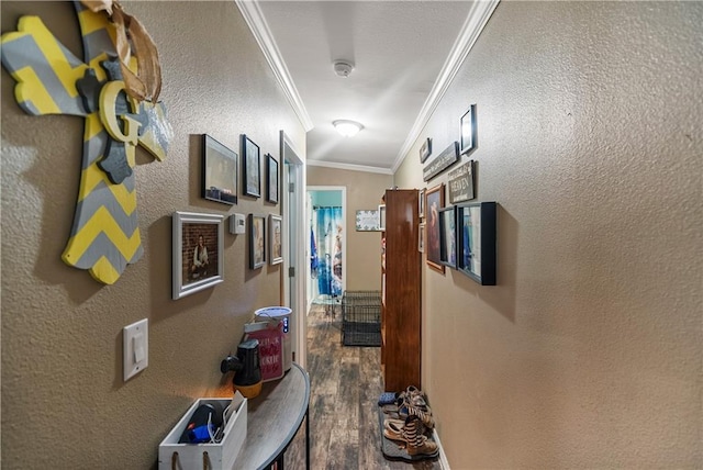 hall with crown molding and dark hardwood / wood-style flooring