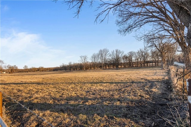 view of yard with a rural view