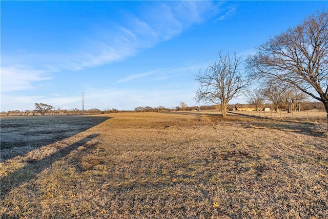 view of yard with a rural view