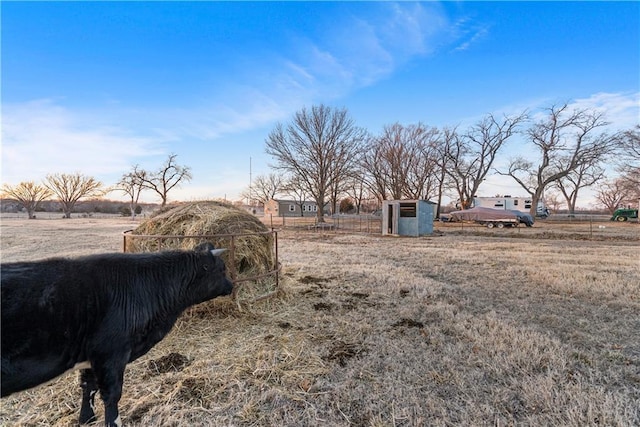 view of yard with a rural view